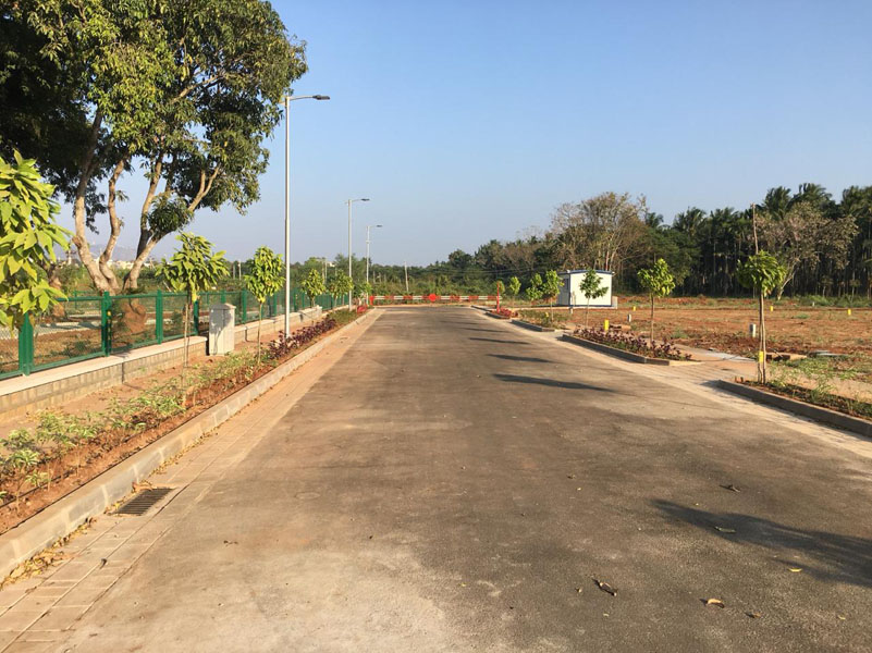 Sanria Team 4 - Project