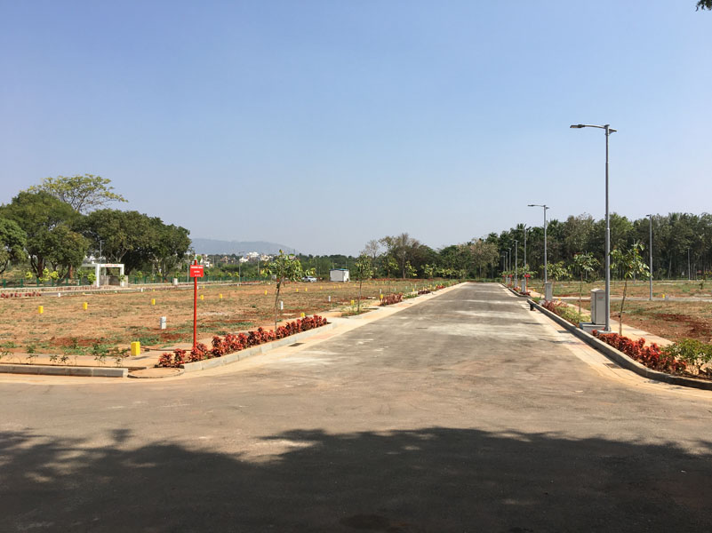 Sanria Team 4 - Project