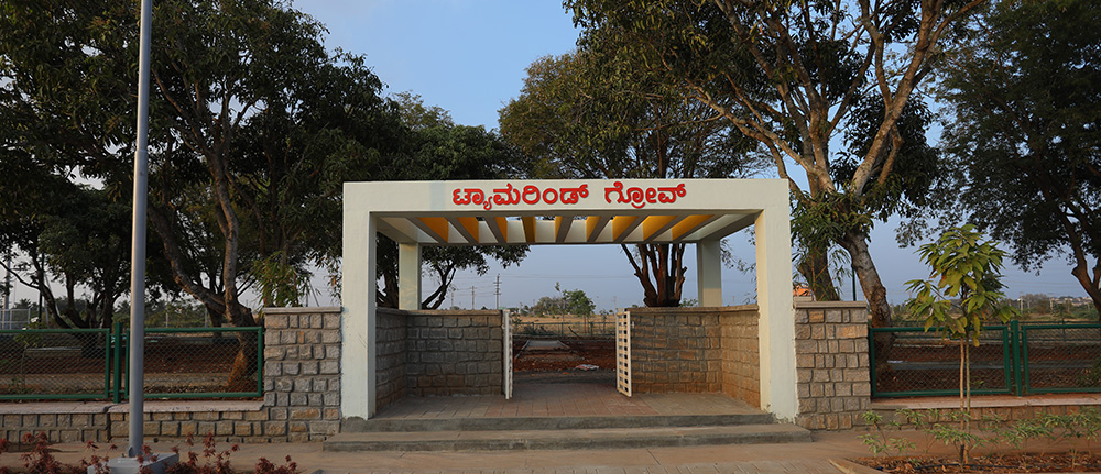 Sanria Team 4 - Tamarind Grove