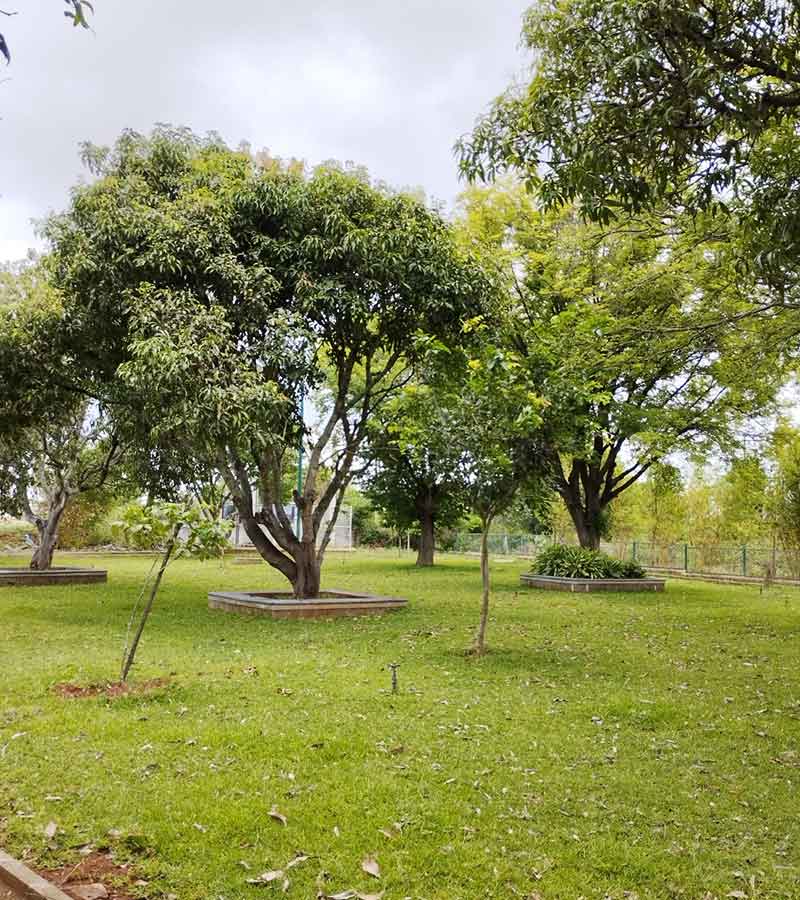 Sanria Team 4 - Tamarind Grove