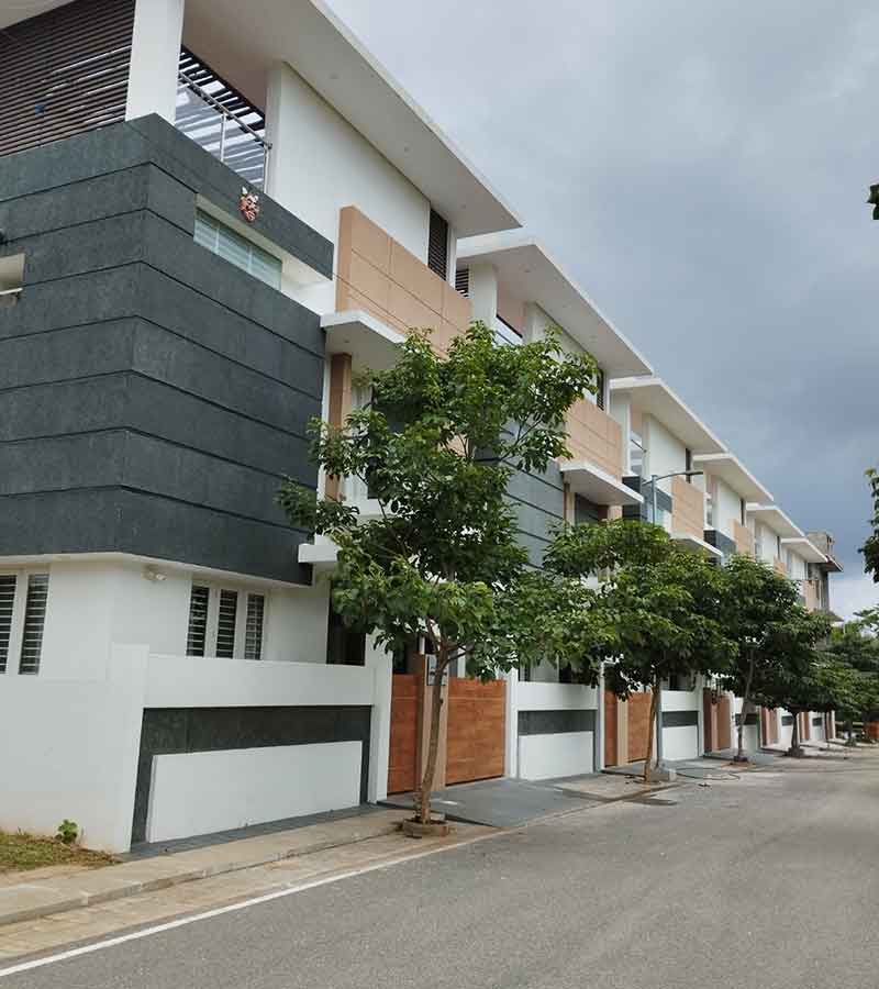 Sanria Team 4 - Tamarind Grove